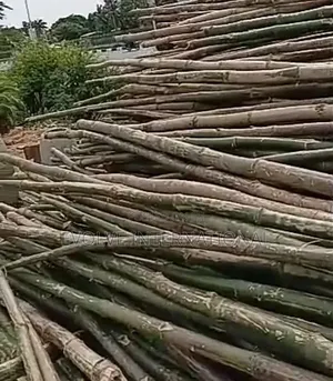 Go Bamboo for Decking