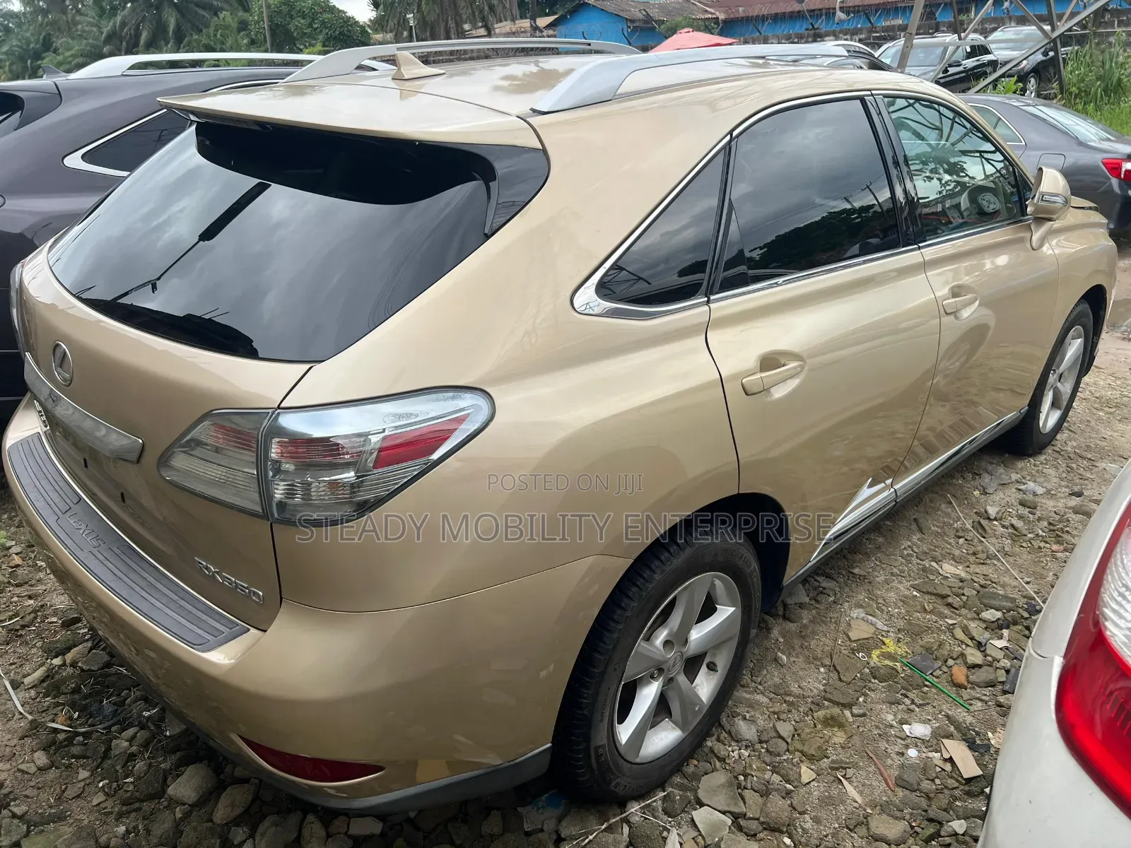 Lexus RX 2010 Gold