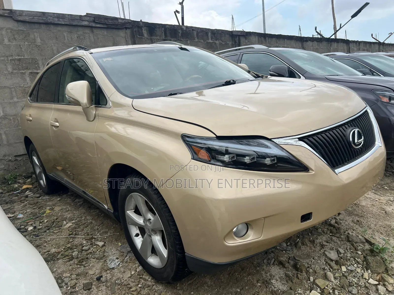 Lexus RX 2010 Gold