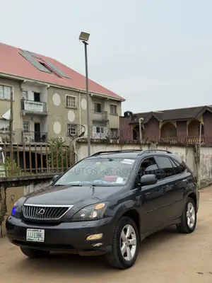 Lexus RX 350 2007 Gray