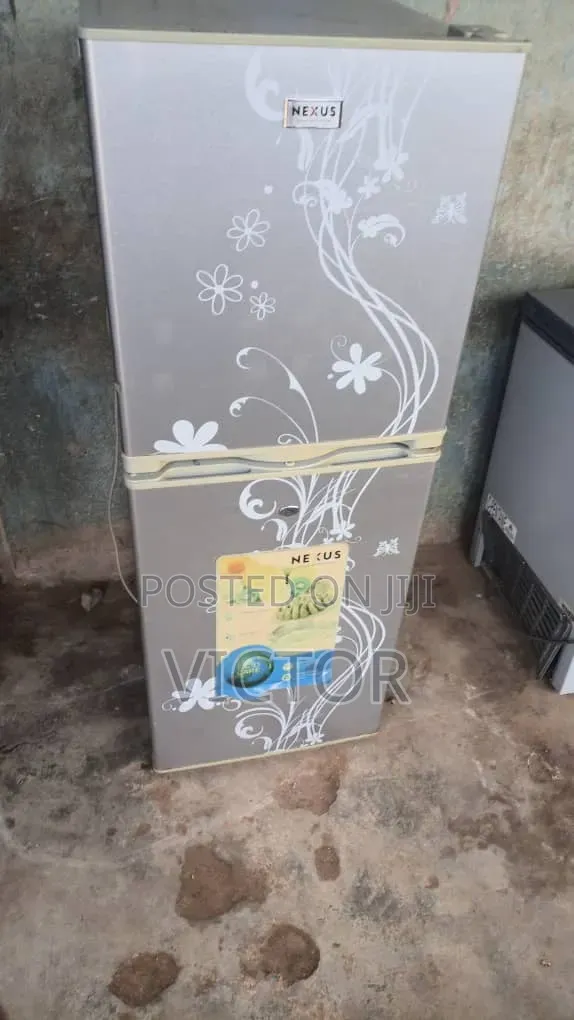 Fridge With Freezer