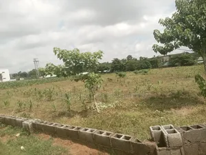 Fence 9700sqm Commercial Land in Katampe Main for Sale