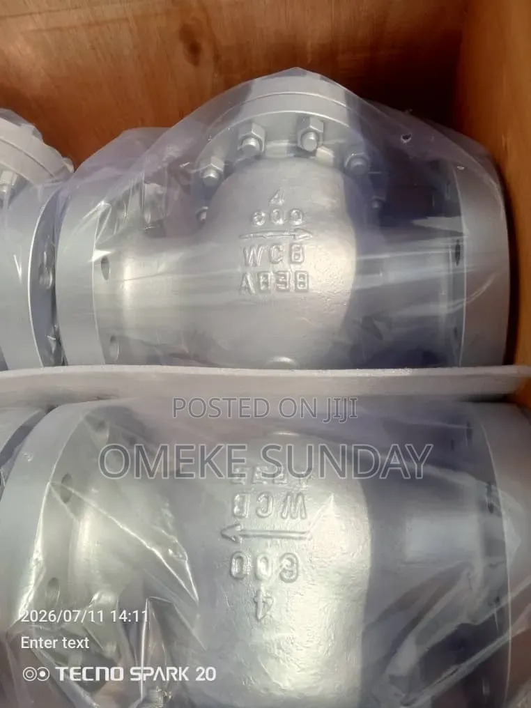 4"x600 Check Valve Rf