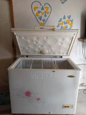 Big Haier Thermocool Fridge for Sell