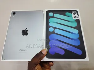 Apple iPad mini 7 256 GB Gray
