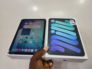 Apple iPad mini 7 256 GB Gray