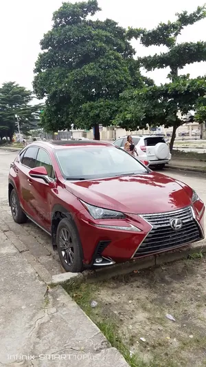 Lexus NX 300 AWD 2019 Red