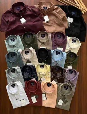 Hackett Shirt