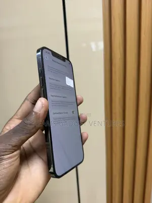 Apple iPhone 12 Pro Max 512 GB Gray