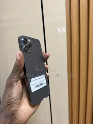 Apple iPhone 12 Pro Max 512 GB Gray