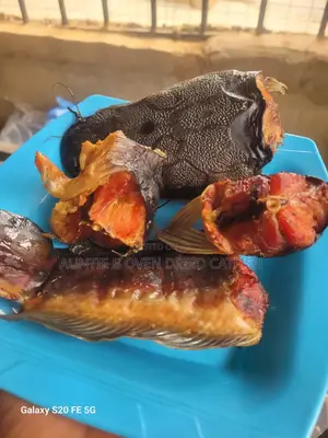 Auntie B Oven Dry Catfish