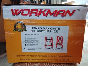 Workman Safety Belt