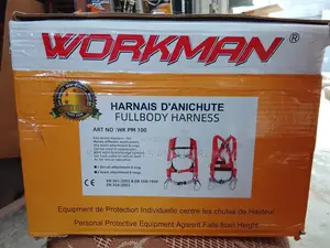 Workman Safety Belt