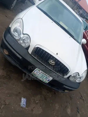 Hyundai Sonata 2006 Silver