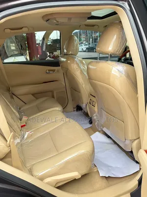 Lexus RX 2010 Gray