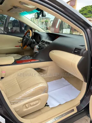 Lexus RX 2010 Gray