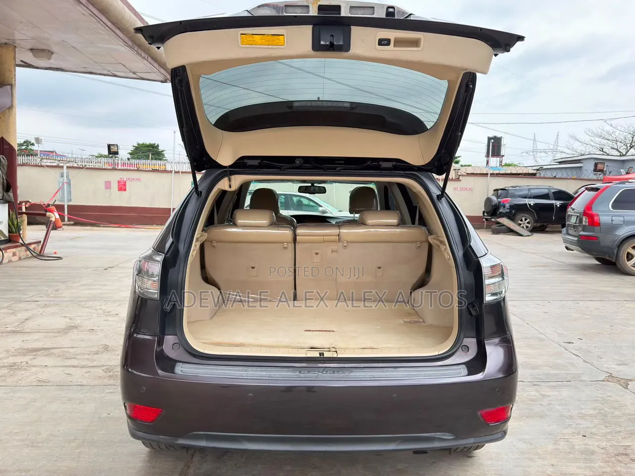 Lexus RX 2010 Gray