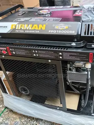 Original Firman Fpg15000se Copper Coil Generator With Key Starter