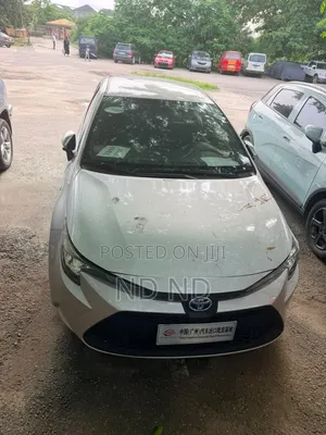 Toyota Corolla 2020 Gray
