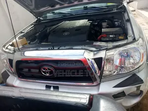 Toyota Tacoma 2010 Silver