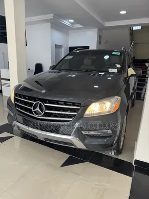Mercedes-Benz M Class 2014 Gray
