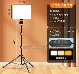 Led Lights