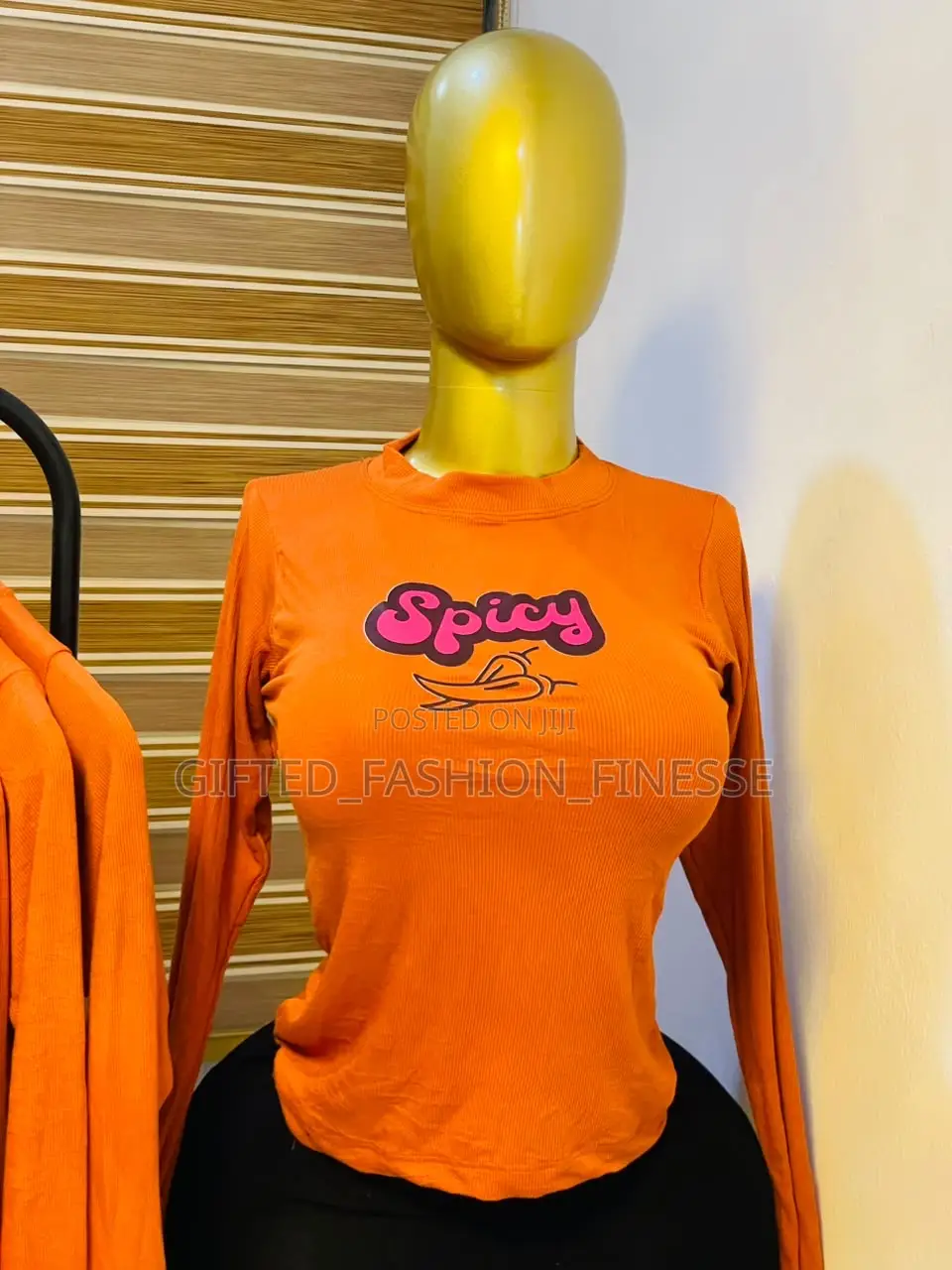 Spicy Longsleeves Basic Tops