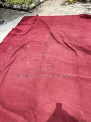 Neat Used Rug