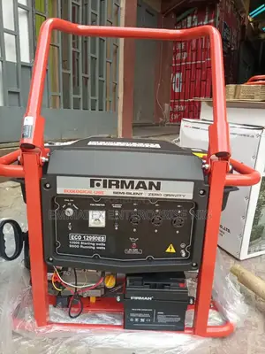 Original Firman Eco12990es Petrol Generator Copper Coil