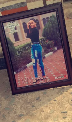 Frames and Pictures