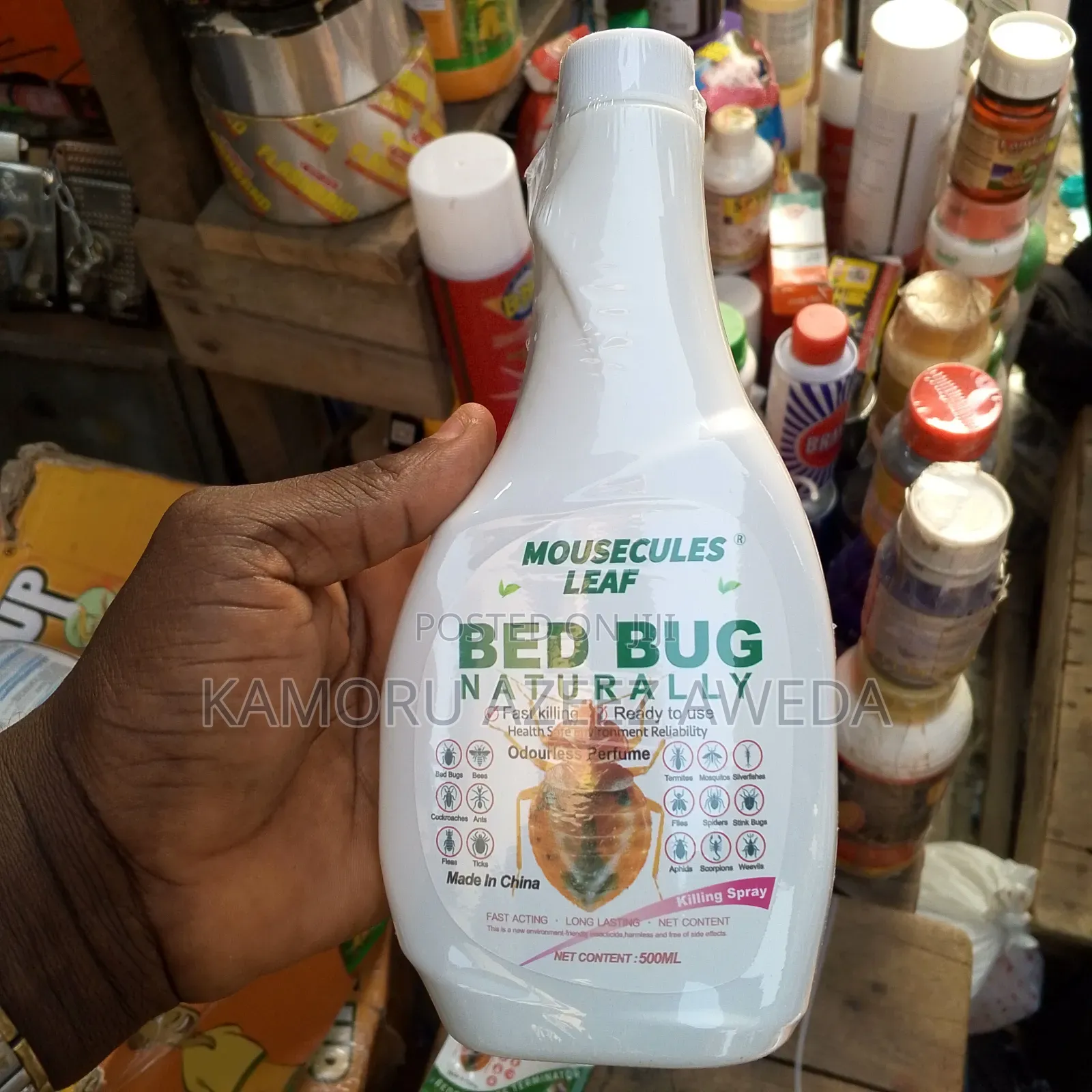 Mousecules Leaf Bed Bugs With Powder Kill Bedbugs With Eggs and Dry