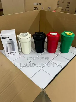 Thermo Water Flask