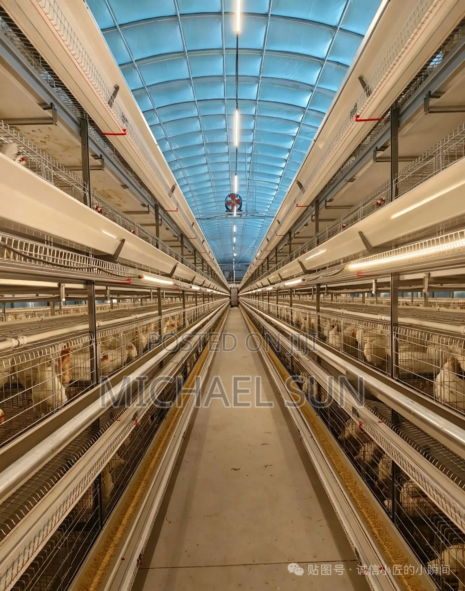 Chicken Layer Cages Poultry Cages Battery Cage