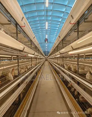 Chicken Layer Cages Poultry Cages Battery Cage