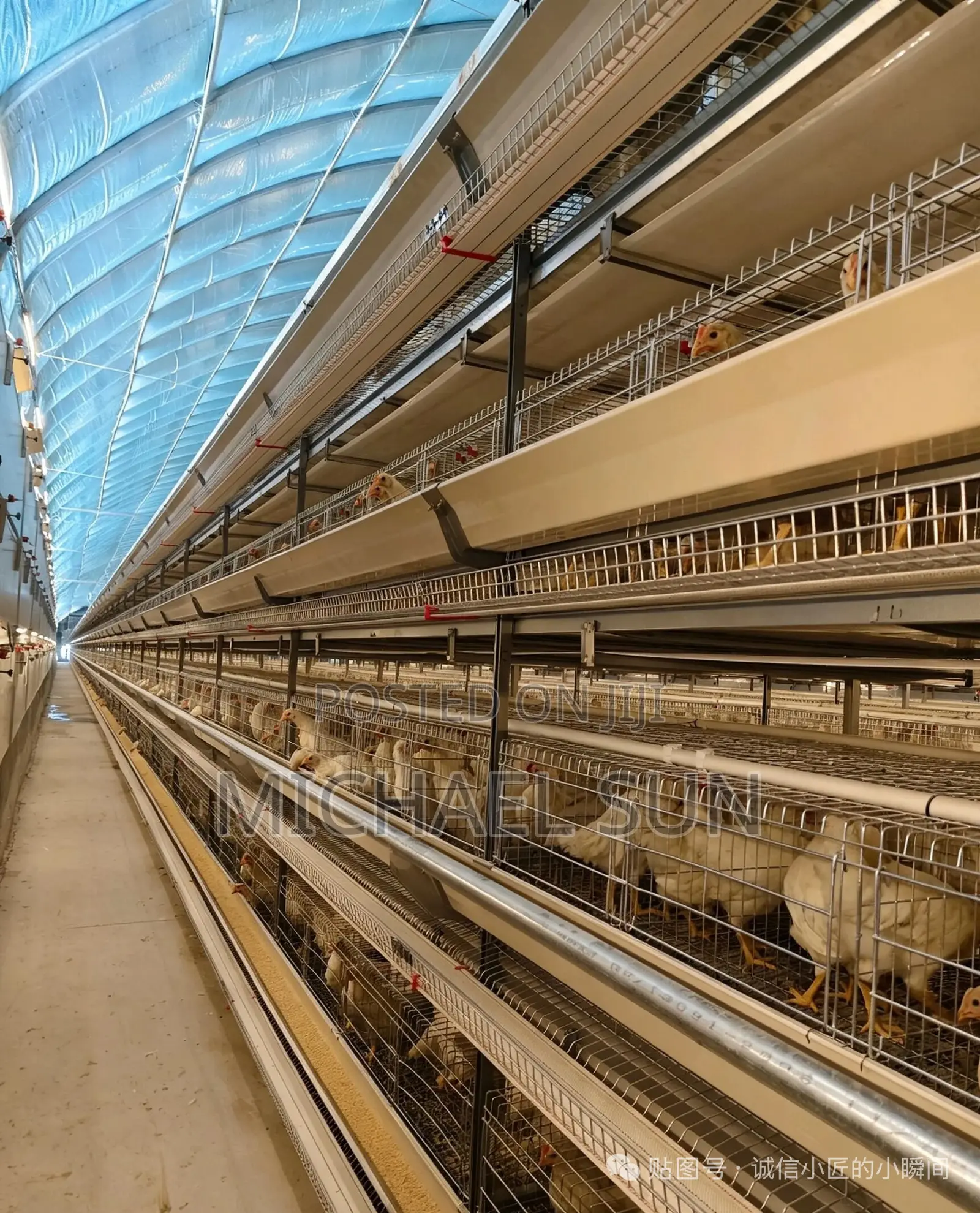 Chicken Layer Cages Poultry Cages Battery Cage