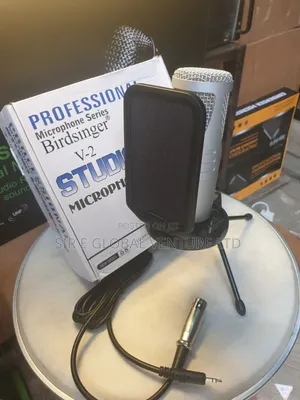 Quality Bird Singer v-2 Condenser Studio Microphone