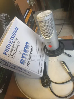 Quality Bird Singer v-2 Condenser Studio Microphone