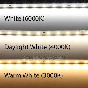 Neon Rope Light