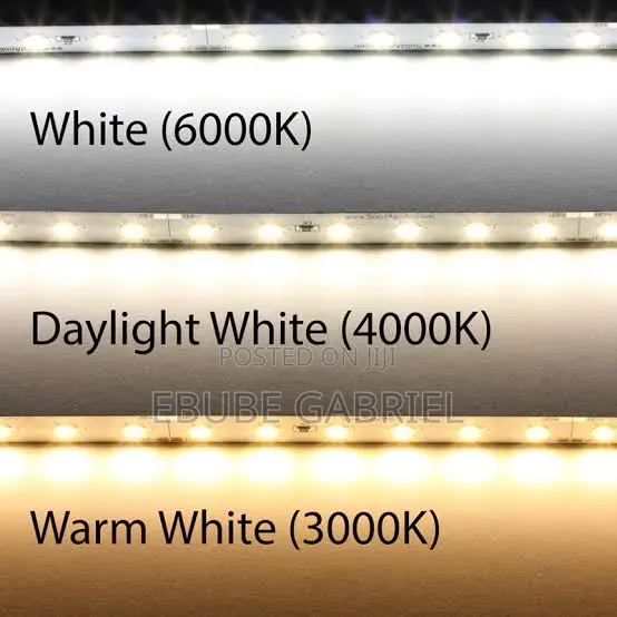 Neon Rope Light