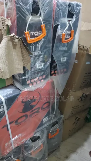 Toro Tubular Battery