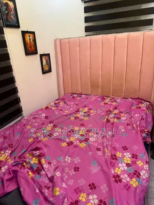 Bed Frame and Sofa