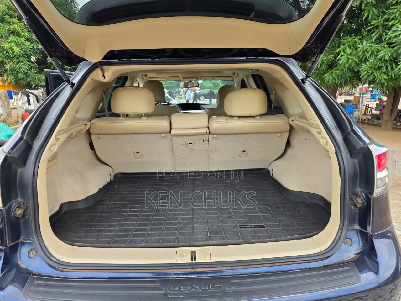 Lexus RX 2013 Blue