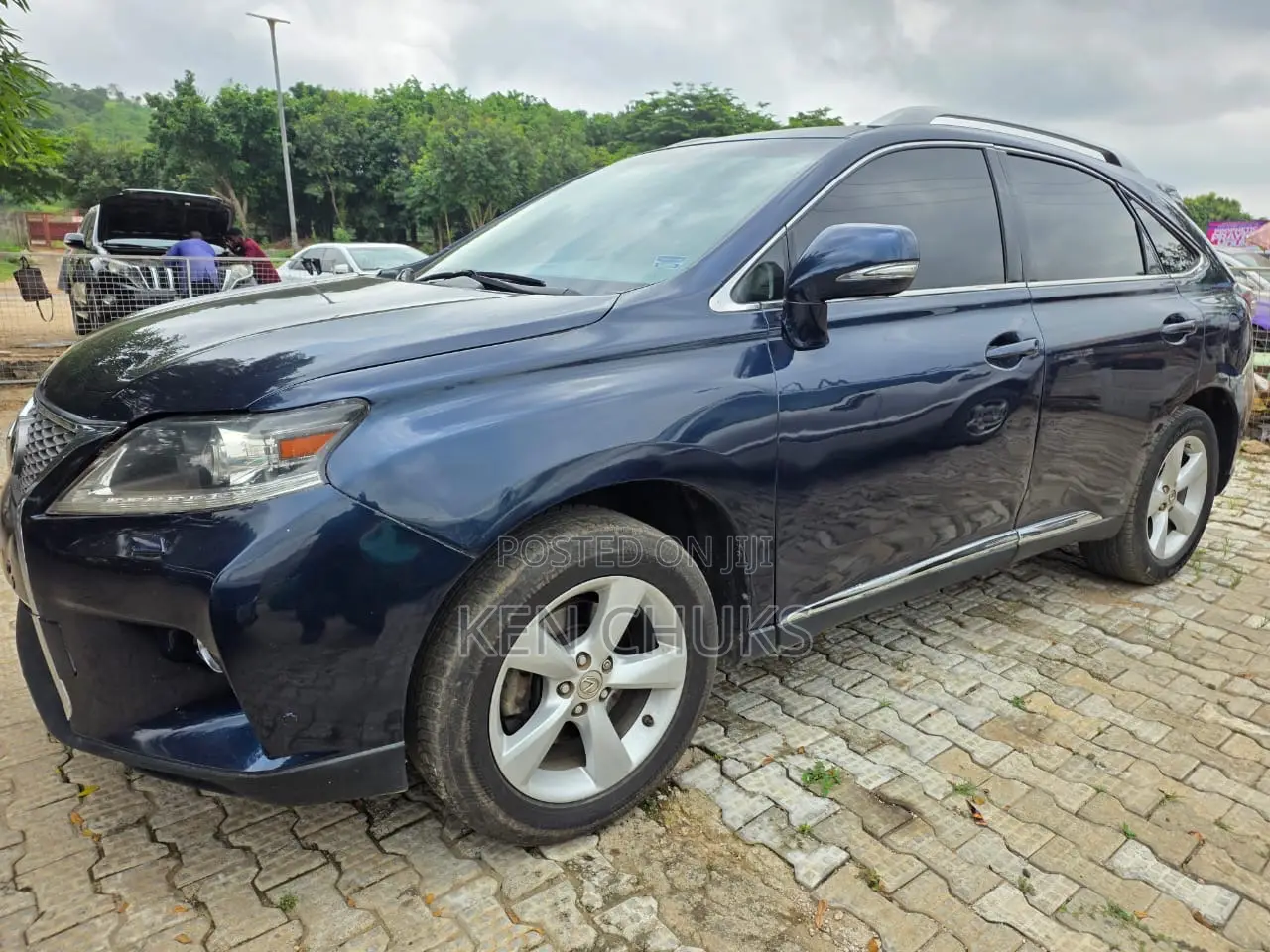 Lexus RX 2013 Blue