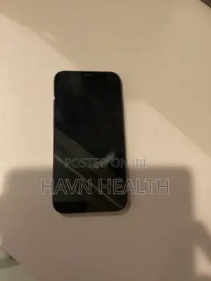 Apple iPhone 12 Pro Max 256 GB Blue