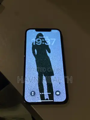 Apple iPhone 12 Pro Max 256 GB Blue