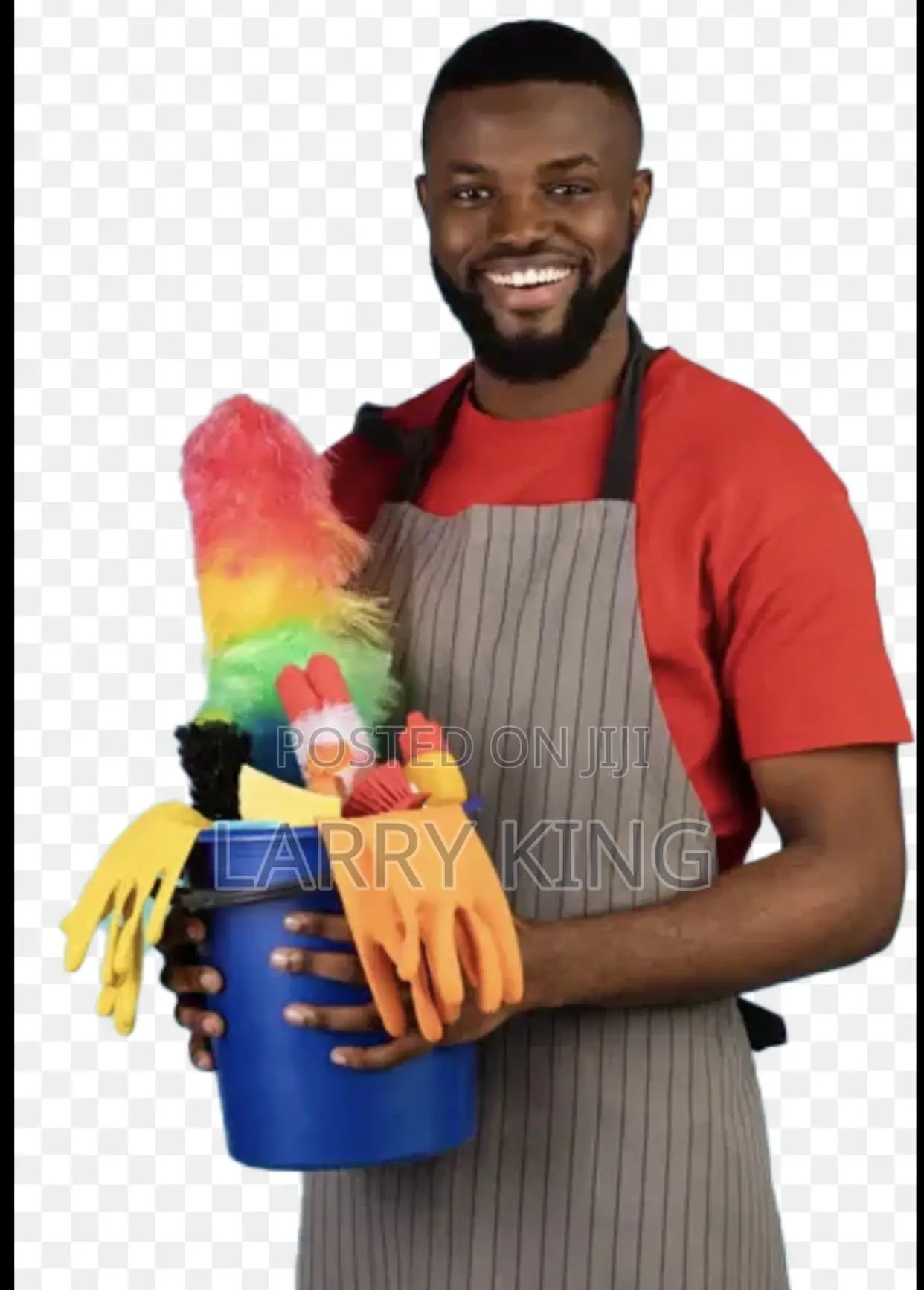 House Cleaning Services Expert!