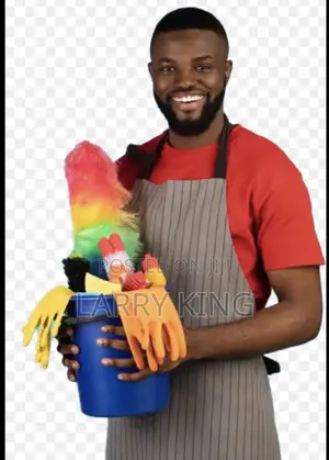 House Cleaning Services Expert!