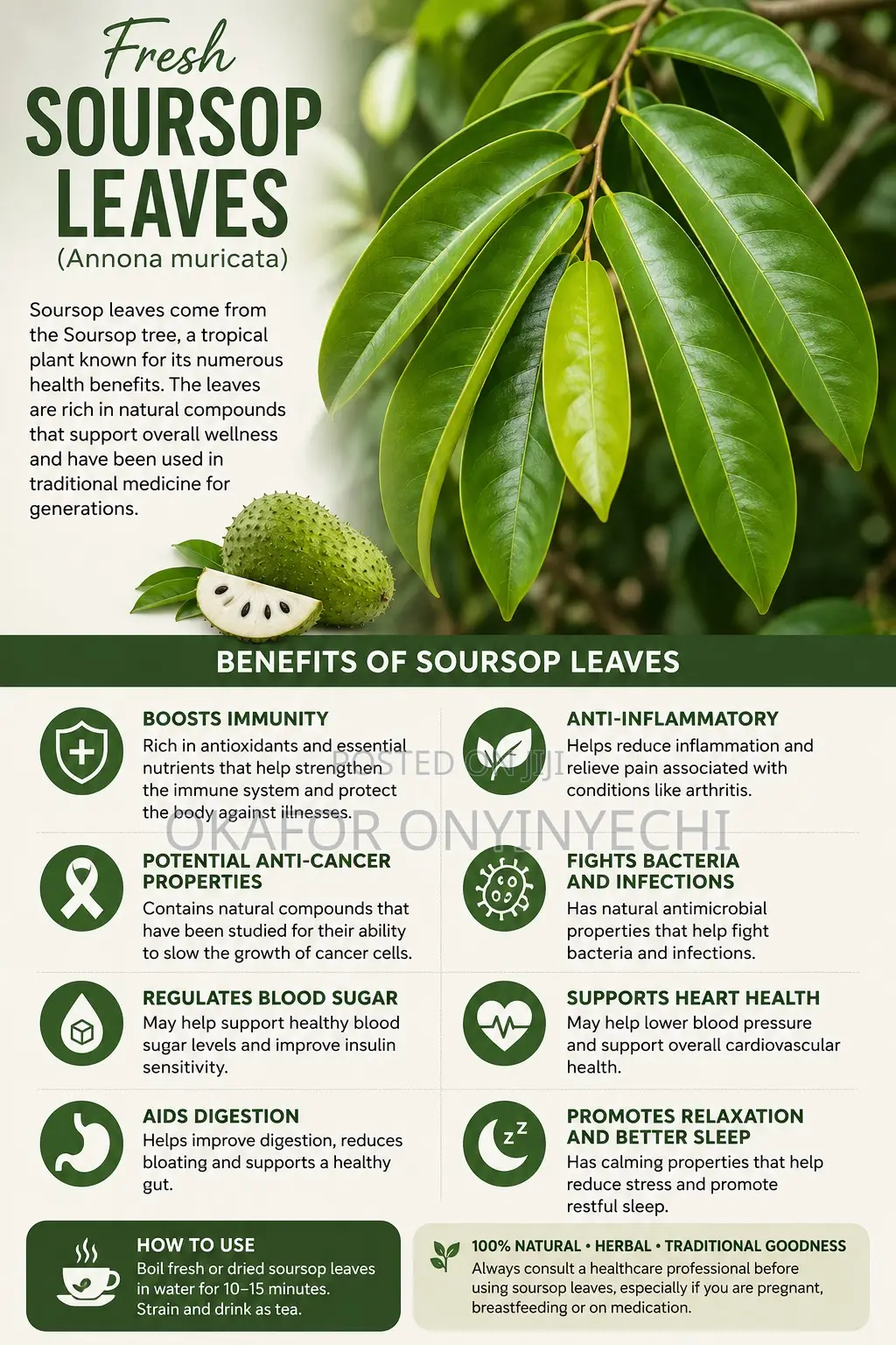 Fresh Soursop Leaves