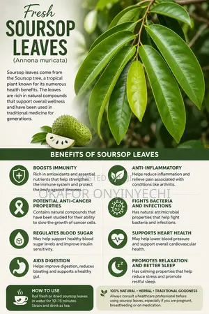 Fresh Soursop Leaves