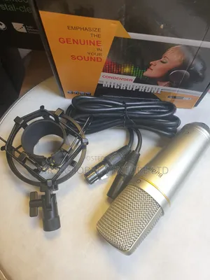 Birdsinger C-1 Professional Condenser Mic